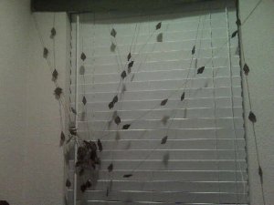 Recent attempt #2- My favorite wooden leaf curtain got tangled in the move. I refuse to give up. Someday it will be untangled.