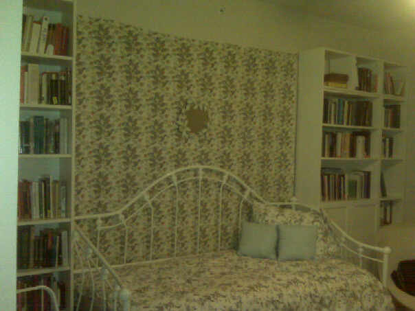 Tell me what you think of the contrasting patterns. Once I bought the duvet cover, I was planning on taking the bird tapestry down, but now I kinda like it. This will soon have a canopy over it and books that go to the ceiling.